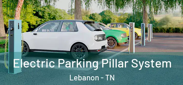 Electric Parking Pillar System Lebanon - TN