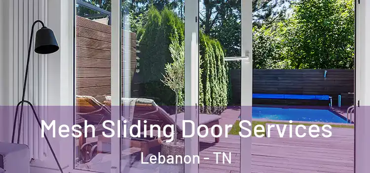Mesh Sliding Door Services Lebanon - TN